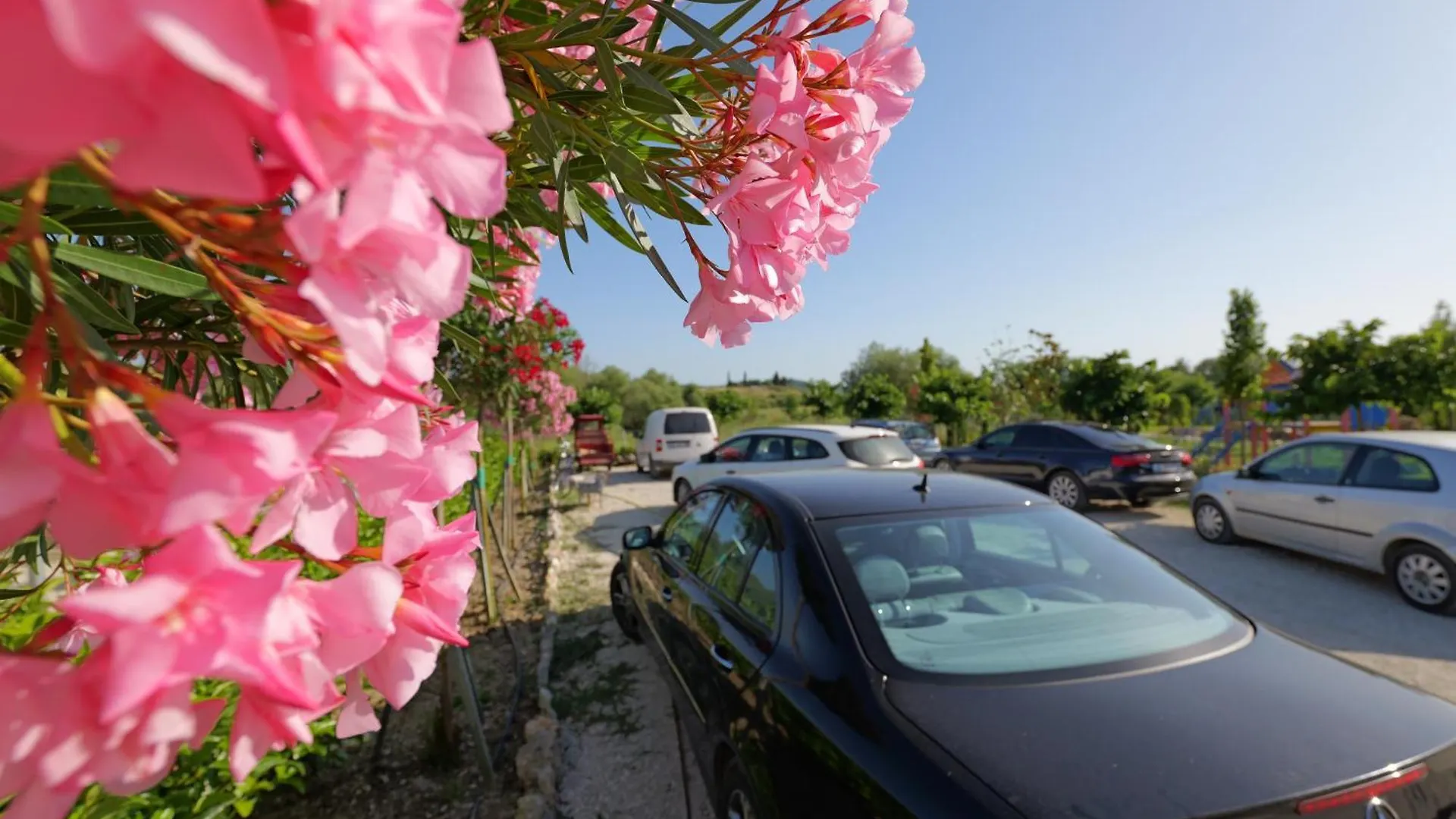 Mesopotam Agrotourism Resort Sarande Lodge